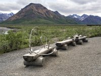 NP_Denali_08