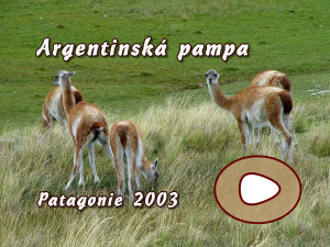 Argentinská pampa